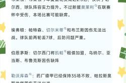 新转会：新转会球员如何融入球队体系的简单介绍